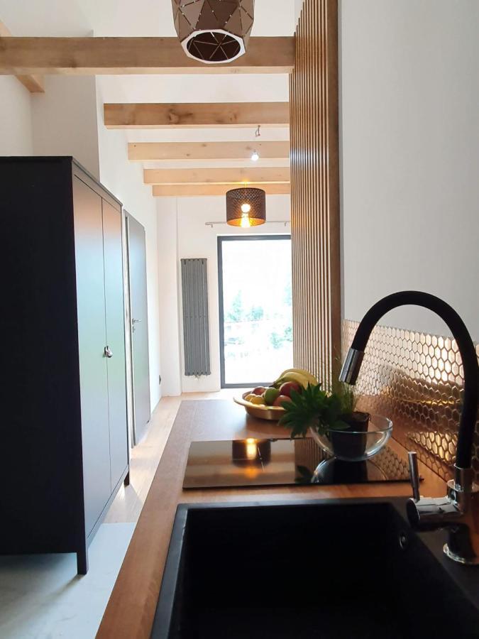 Ogrodowa 4 Apartment Ustrzyki Dolne Bagian luar foto