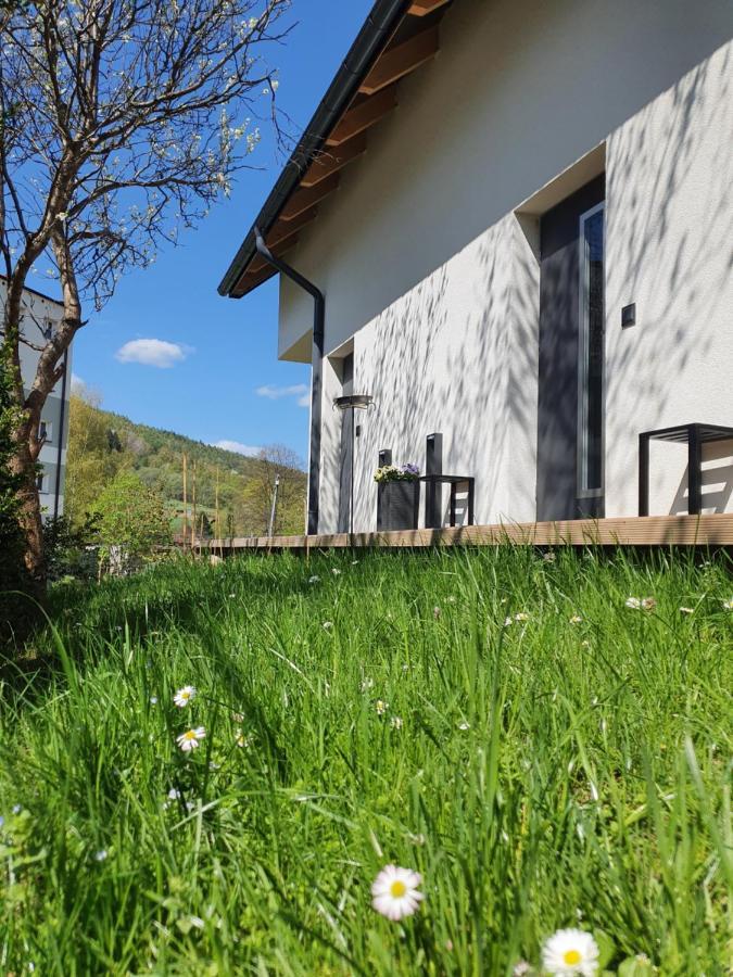 Ogrodowa 4 Apartment Ustrzyki Dolne Bagian luar foto